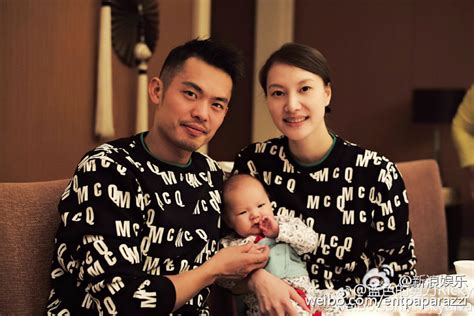 dan lian wife|lin dan affair.